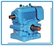 WORM GEAR BOXES - Over Driven